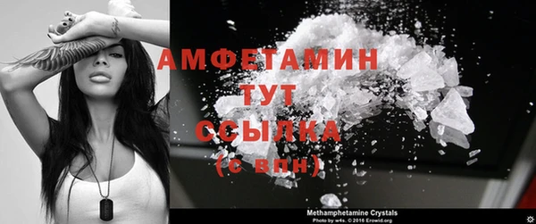 дживик Пестово