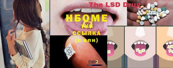 гидра Переславль-Залесский