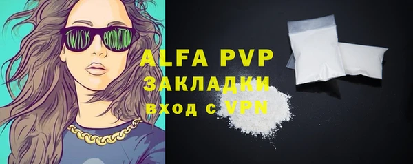 дмт Пересвет