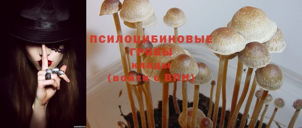 дмт Пересвет