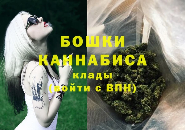 дмт Пересвет
