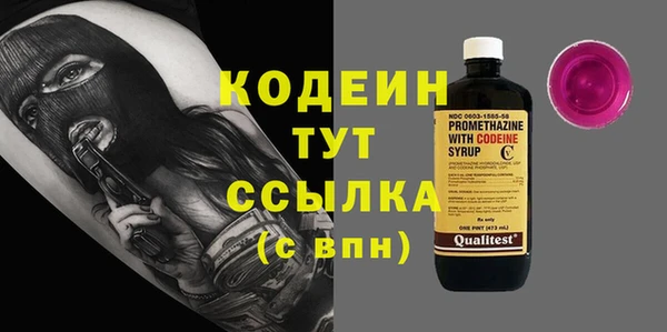 дмт Пересвет