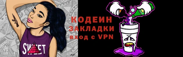 дмт Пересвет