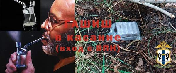 дмт Пересвет