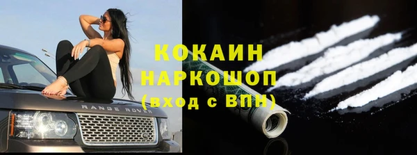 гидра Переславль-Залесский
