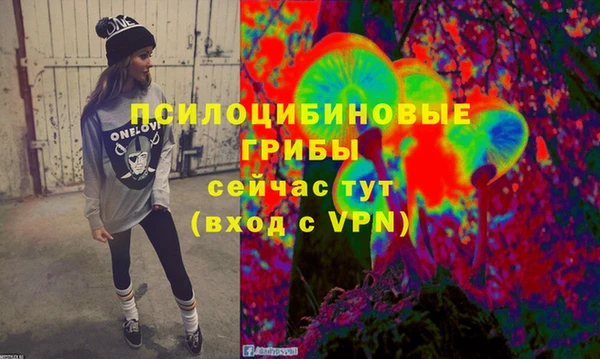 ГАЛЛЮЦИНОГЕННЫЕ ГРИБЫ Навашино