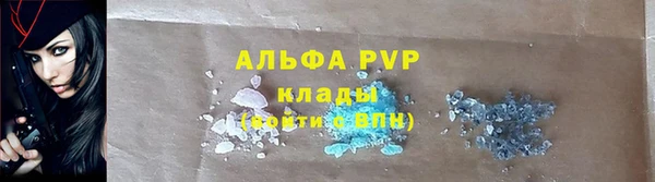 дживик Пестово