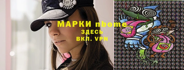 дживик Пестово
