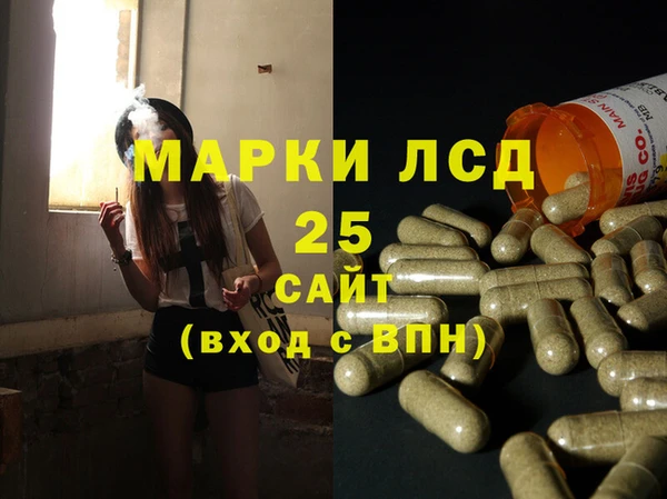 дмт Пересвет