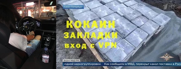 дживик Пестово