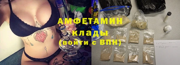 дживик Пестово