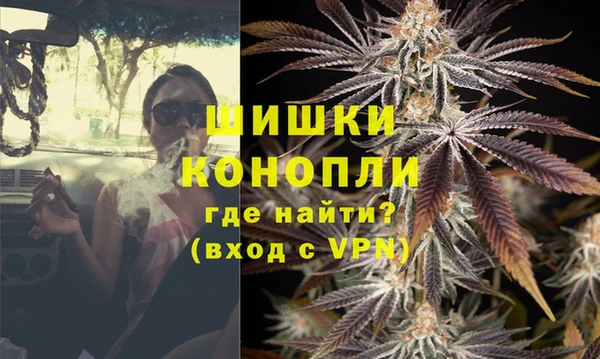 дмт Пересвет