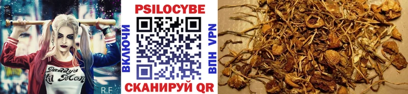 Псилоцибиновые грибы Cubensis  сайты даркнета наркотические препараты  Камешково 
